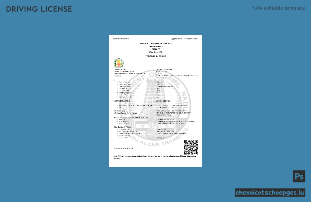 Vorschau eines Beispiels für einen vorläufigen Führerschein aus Tamil Nadu, Indien
